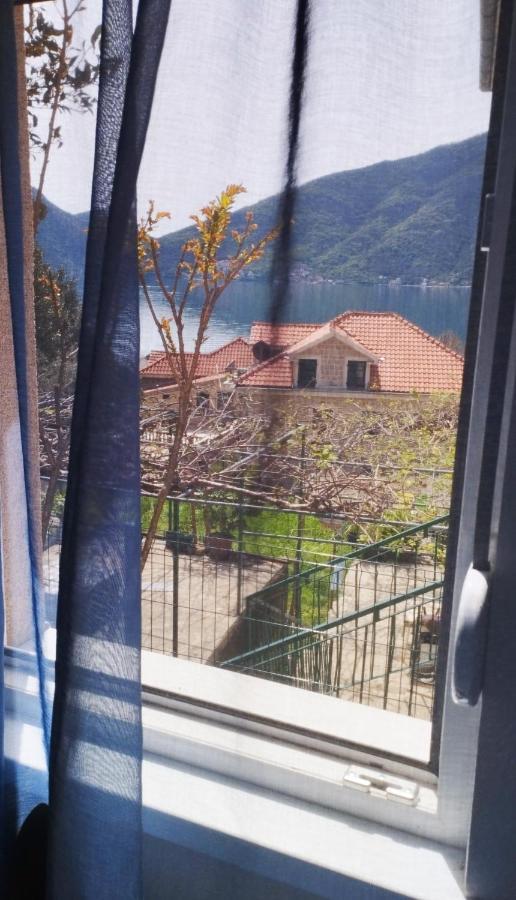 Apartments Aleksandra Risan Zewnętrze zdjęcie